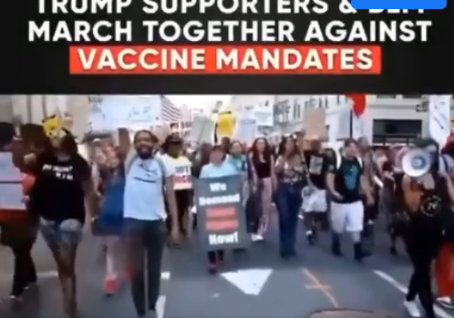 Les supporteurs de TRUMP  et du mouvement BLACK LIFE MATTERS , main dans la main contre le VAX