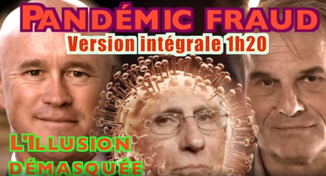 Dr Reiner Fuellmich - L'Illusion démasquée