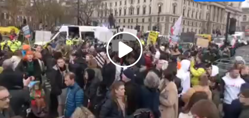 Manifestation à Londres contre les mesures covid et les certificats verts.