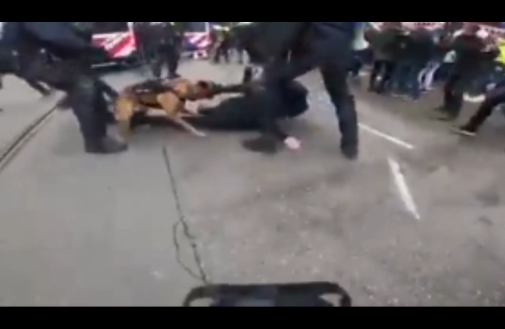 Des chiens policiers et mattraques sont utilisés contre les manifestants à Amsterdam