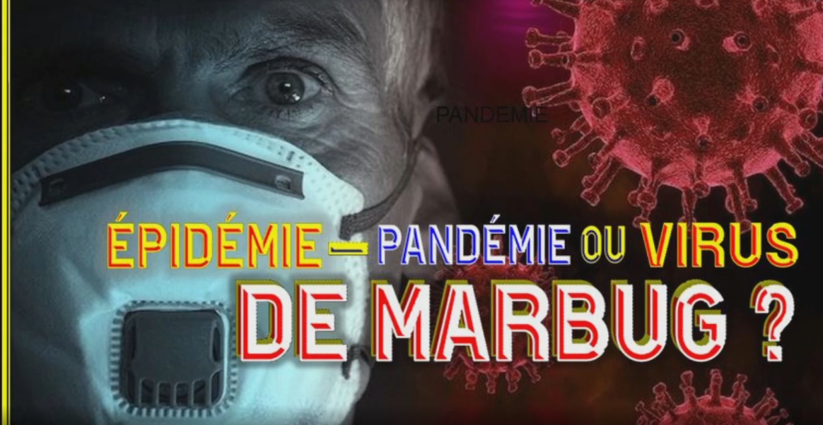 MARBUG : VIRUS - EPIDEMIE OU PANDEMIE